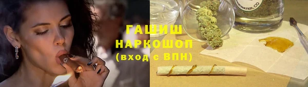 МДПВ Пересвет