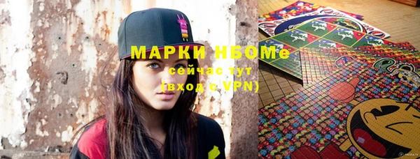 МДПВ Пересвет