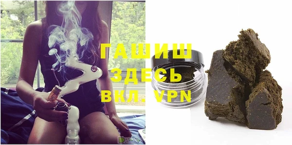 МДПВ Пересвет
