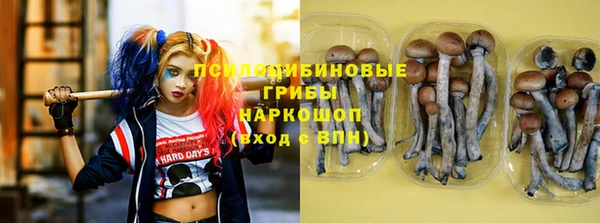 ГАЛЛЮЦИНОГЕННЫЕ ГРИБЫ Болохово