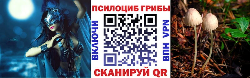 Псилоцибиновые грибы MAGIC MUSHROOMS Котлас
