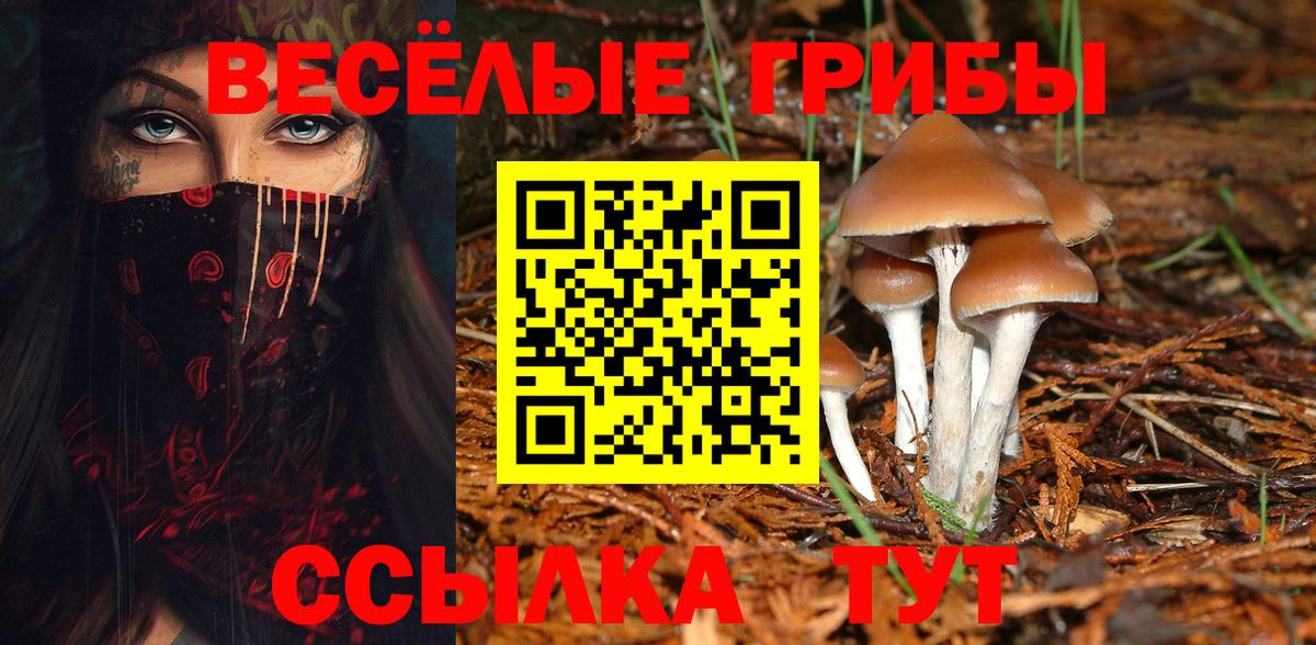 Гашиш  Котлас  LSD-25  Ляпка  Alpha-PVP  Конопля  Мяу-Мяу  Бошки Шишки  COCAIN  Купить наркотик  Вход с VPN 