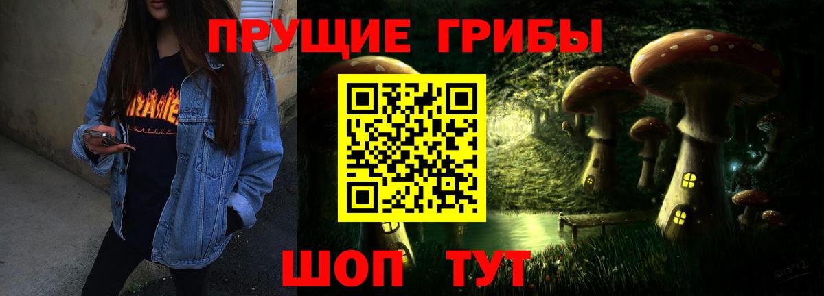 Галлюциногенные грибы Psilocybe  Вход с VPN  Котлас 