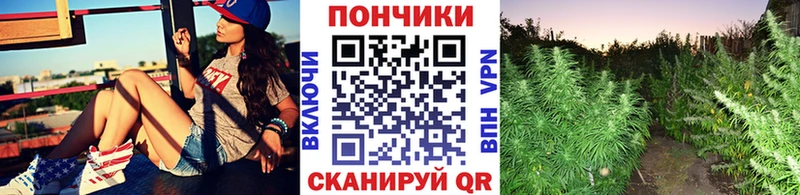 купить наркотики цена  Котлас  Конопля планчик 
